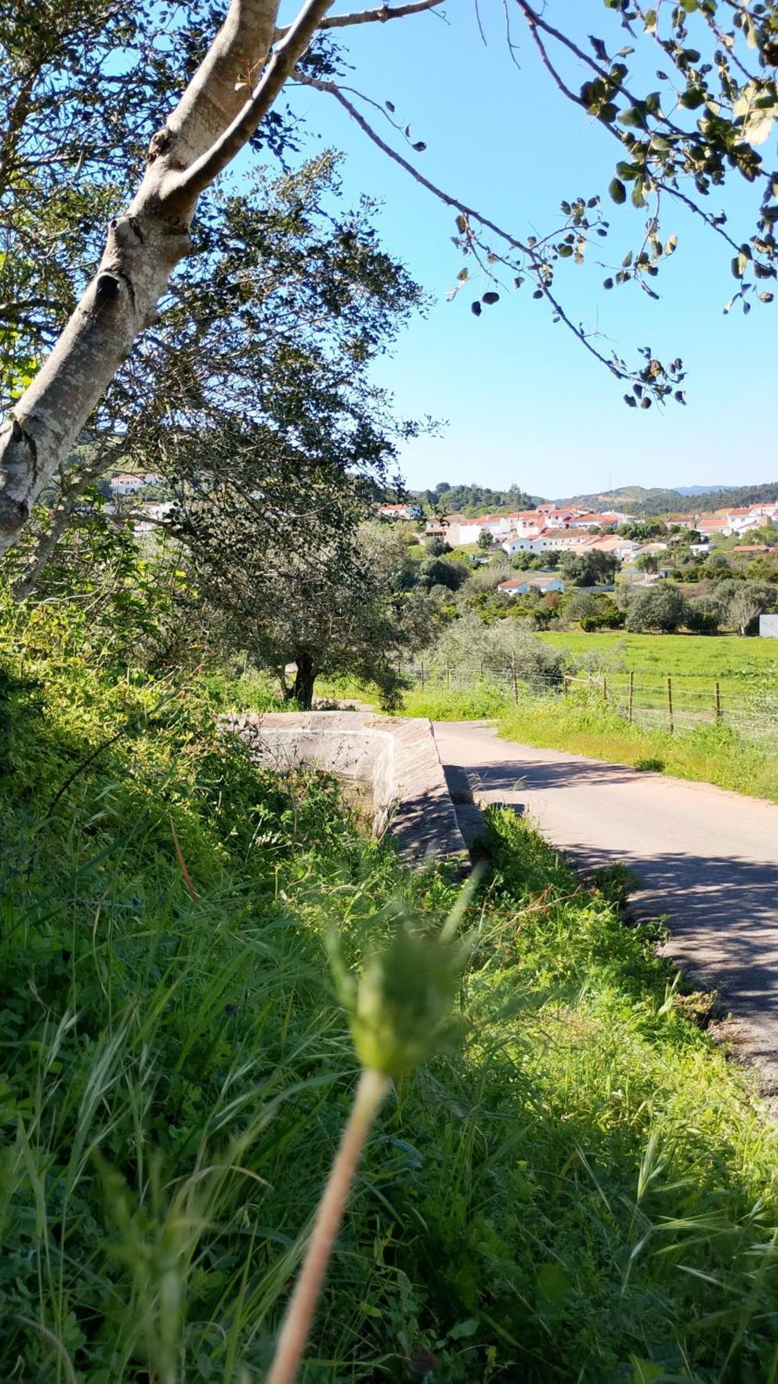 הוילה São Bartolomeu de Messines Casinha Do Repouso מראה חיצוני תמונה